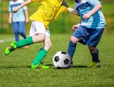 揭秘近战,森林狼与勇,生死临界战,爱游戏app,爱游戏官网,爱游戏体育官网,爱游戏体育app